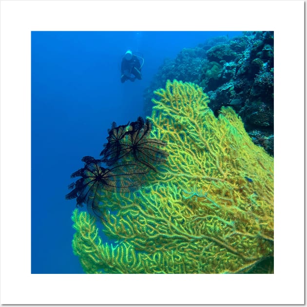 Gorgonian Coral and Scuba Diver Wall Art by likbatonboot